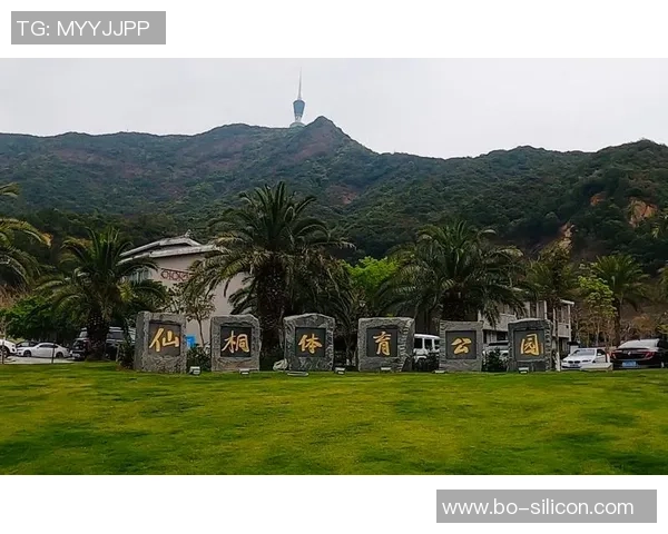 深圳攀岩队配合分析与其他队伍的差异与优势探讨